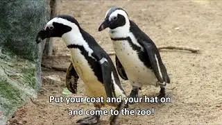 Fairytale of Banham Zoo