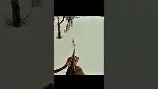 The rabbit came out of the snow and started running, and it was hunted #hunting #chass #snow_hunting