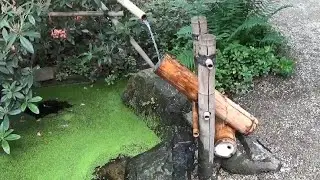 Beautiful Ponds & Water Features