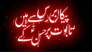 Paikaan Baras Rahey Hain Taboot Per Hasan Ke | Mir Hasan Mir New | Noha | Black Screen Status |