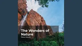 Take Pleasure in Nature