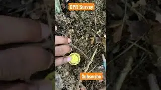 How to identify property corners