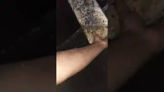 panen//rbw boepinang-poleang