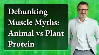 Debunking Muscle Myths: Animal vs Plant Protein
