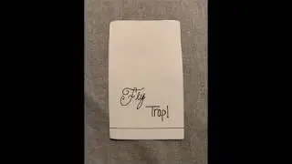 Fly Trap By: Kayla Norton