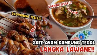 WOW !!! SEHARI 20 AYAM KAMPUNG !! POTONGAN DAGINGNYA BESAR & EMPUK I SATE AYAM KAMPUNG PAK DUL