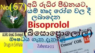Bisoprolol in sinhala  | බිසොප්‍රොලෝල්  ගැන දැනගමු | Bisoprolol | concor| Zabesta