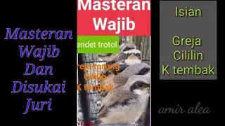 Masteran Wajib Untuk Cendet dan Murai Batu.#masteranterbaik#amiralea