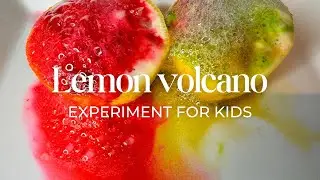 Lemon Volcano Experiment for Kids. DIY science experiment. STEM activity