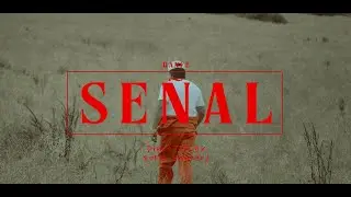 DANFE - SE&Ntilde;AL (VIDEO CONCEPT)