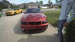 Driving Mustang Lifestyle's Cobra