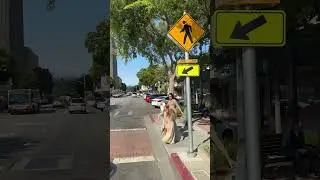 The only way you should cross the street 😂😂😂
