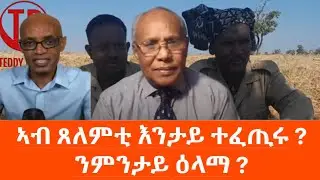 ኣብ ከባቢ ጸለምቲ እንታይ ተፈጢሩ / ንምንታይ ዕላማ ? Tegadalay Bsrat Amare