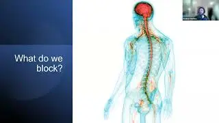Regional Blocks in Trauma