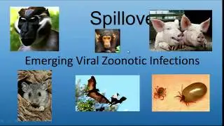 04/22/14 Spillover: Emerging Viral Zoonotic Infections