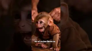 बंदर की समझदारी, understanding of monkey #ai #shortsviral #aishorts #shortvideos #aiinfluencers