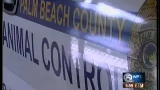 PBC Animal Care and Control victimized