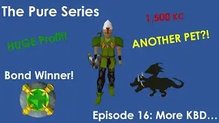 OSRS Pure Series - Episode 16 (INSANE Profit at KBD + PET DROP???)