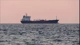 Daily Shipment News and Updates, Oil and Gas Import in India. Petrochemicals Market