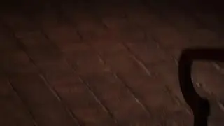 Hardflip bs Smith went wrong