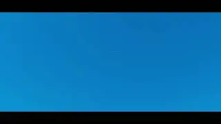 Perzische hoogvliegers, persische hochflieger, kaftar irani, iranian highflyers 2021, Netherlands