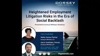 Heightened Employment Litigation Risks in the Era of Social Backlash
