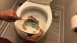 Soggy cereal Flush
