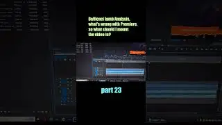 23 Davinci resolve and adobe premiere issues what to choose for video editing #video editing
