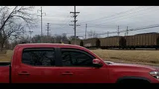 CSX. coal consist !