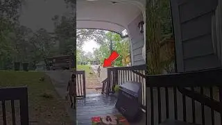 Delivery Guy's SHOCKING Reaction Caught On Camera!😐 #shortsvideo
