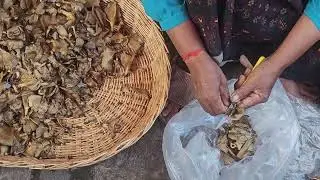Prepping Mushrooms (