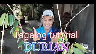 Durian Planting basic tutorial Tagalog version 