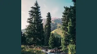 Lush Fields