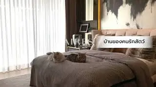 AIRES Rama 9 - Pet Friendly Home