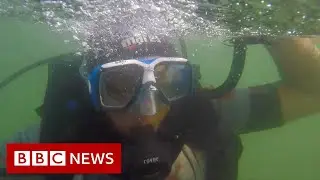 Cleaning up India's oceans - one dive at a time - BBC News