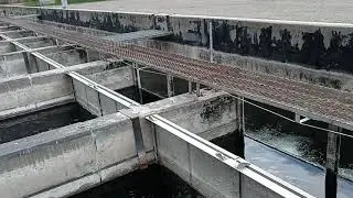 Feeding frenzy at Fish Hatchery
