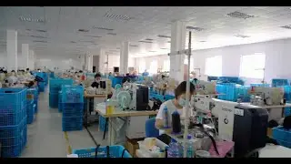 Pet Collar, Leash, Harness Manufacturer China | Kazo Pet