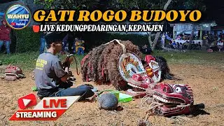 🔴JARANAN GRB 