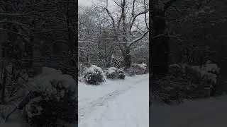 Hansestadt Wetter | Hansiatic Weather #music#sound#snow#shorts
