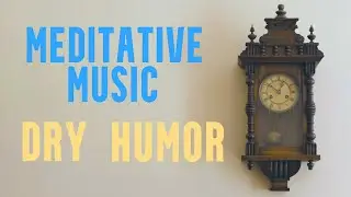 The Fly Who Wanted Company is a Dry Humor Music Video (Meditative Song) #music #hypnotic #unique