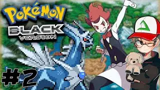 Starry vs. Gym #1 | Pokemon Black Randomizer Nuzlocke #2