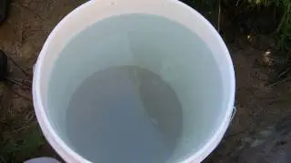 How To Treat Silty River Water With 
