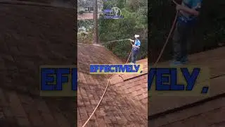 The Most Profitable Pressure Washing Service Ever!