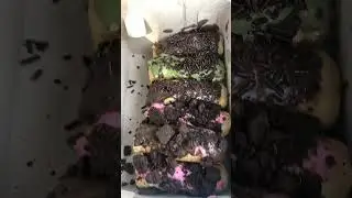 Pukis Toping, Kedai Pukis Panjang Umur, Jl Karimata Unmuh, Situbondo