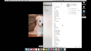 How to use Notes, Contacts, Reminders on your MacBook