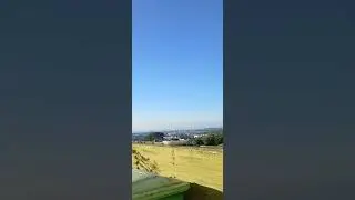 Golden Gate Prophecies 