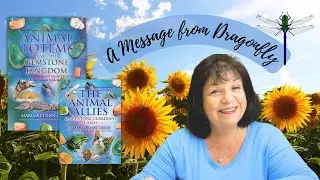 What is the message from Dragonfly? | Animal Totems & the Gemstone Kingdom
