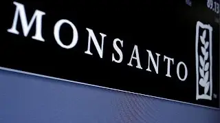 Monsanto отказалась от предложения Bayer