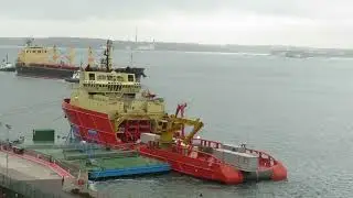 As seen in lower Cork harbour on Wednesday, October 1st - 2025.
