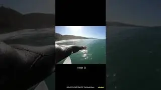 POV Surfing at Black's Beach California. Surf Everyday 1/19/23 Thu.